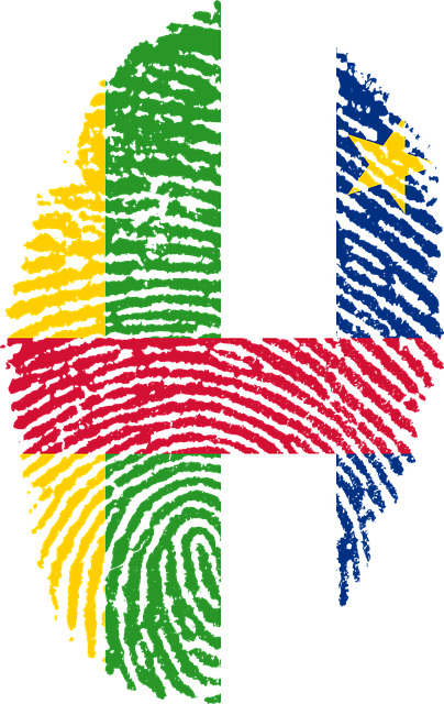 アフリカ共和国の国旗の指紋